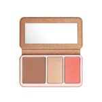 anastasia beverly hills face palette